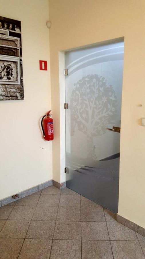 Apartamenty Daisy Goczałkowice-Zdrój エクステリア 写真