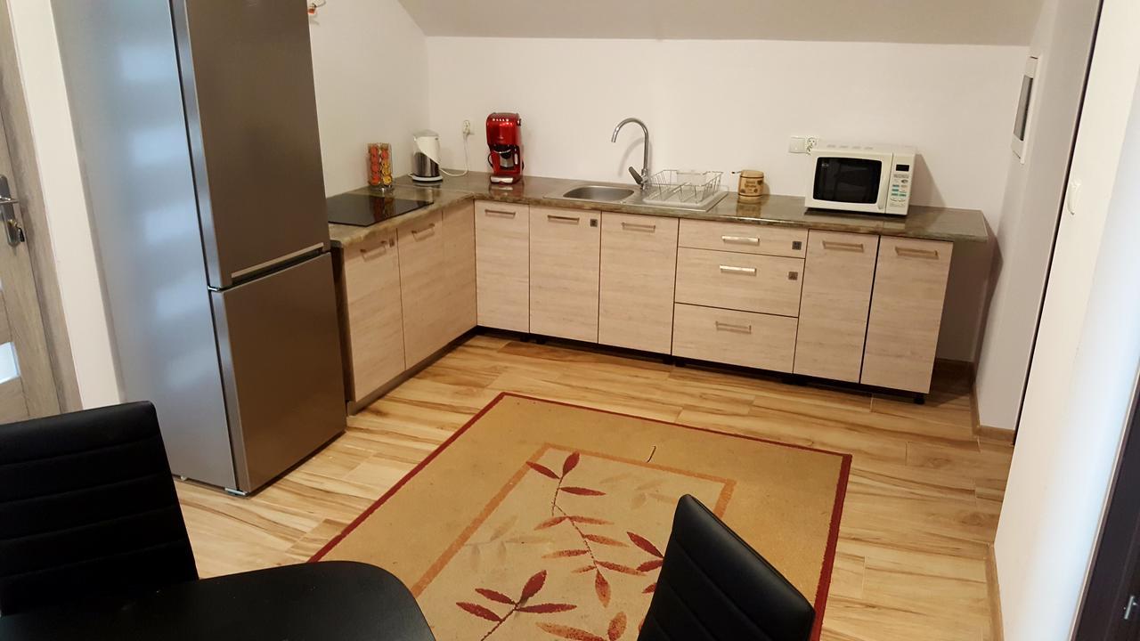 Apartamenty Daisy Goczałkowice-Zdrój エクステリア 写真