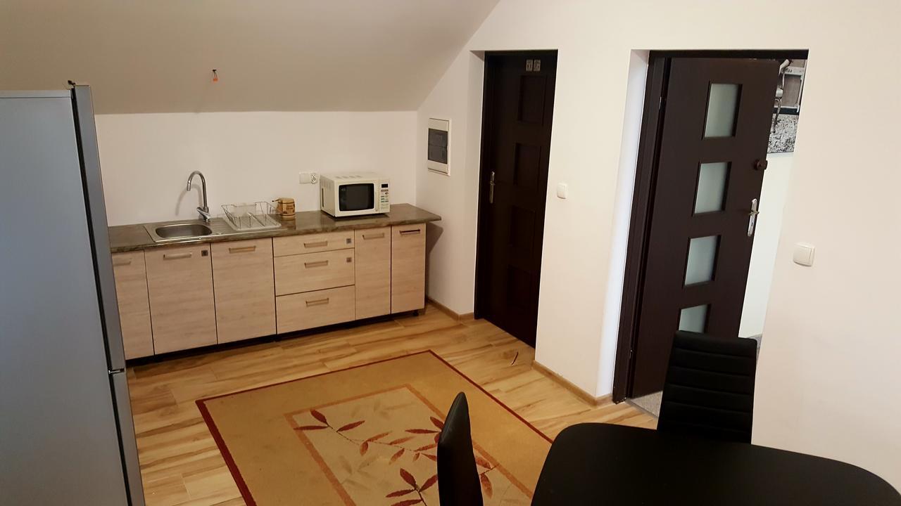 Apartamenty Daisy Goczałkowice-Zdrój エクステリア 写真