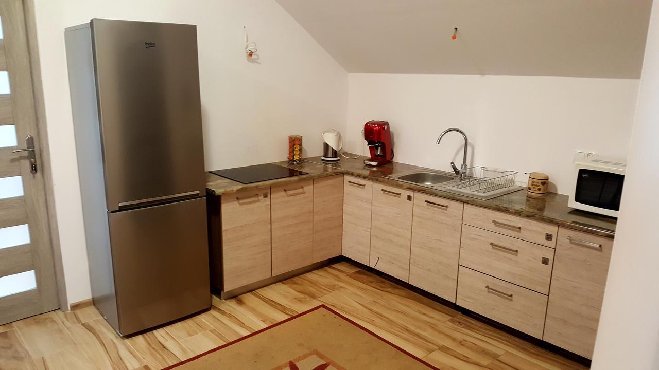 Apartamenty Daisy Goczałkowice-Zdrój エクステリア 写真